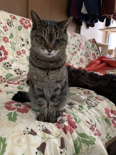 IMG_0982.jpeg