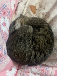 IMG_1109.jpeg