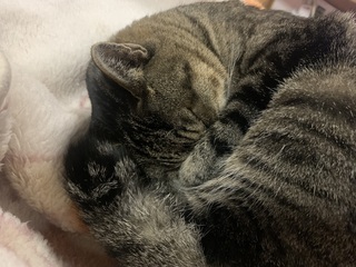 IMG_1769.jpeg