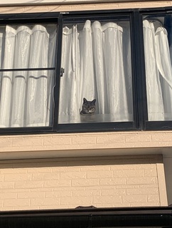 IMG_2038.jpeg