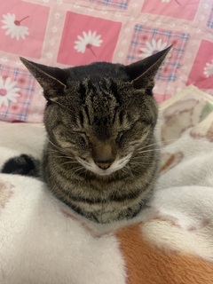IMG_2282.jpeg