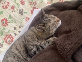 IMG_5037.jpeg