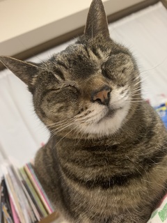 IMG_9584.jpeg